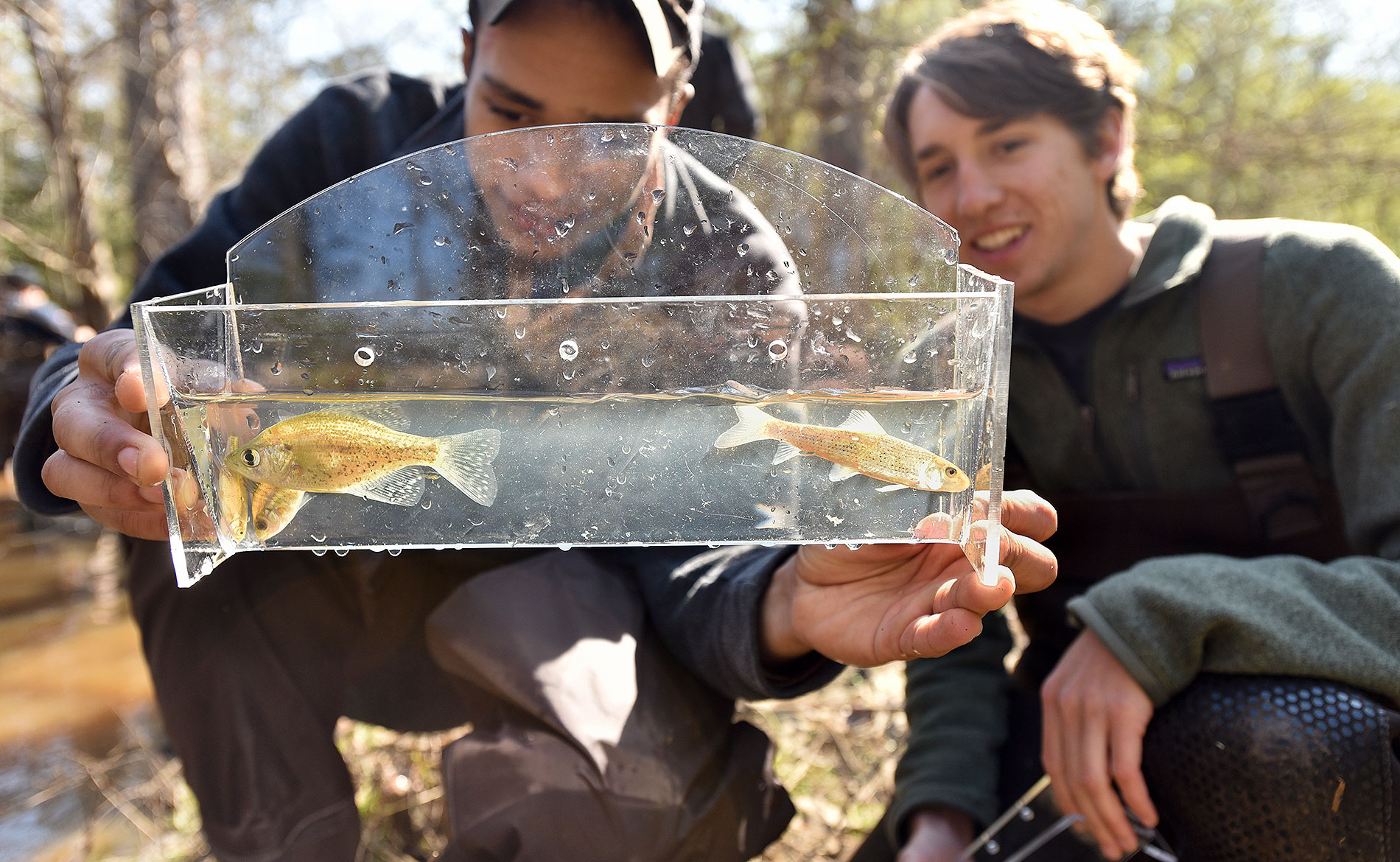 Environmental Science students